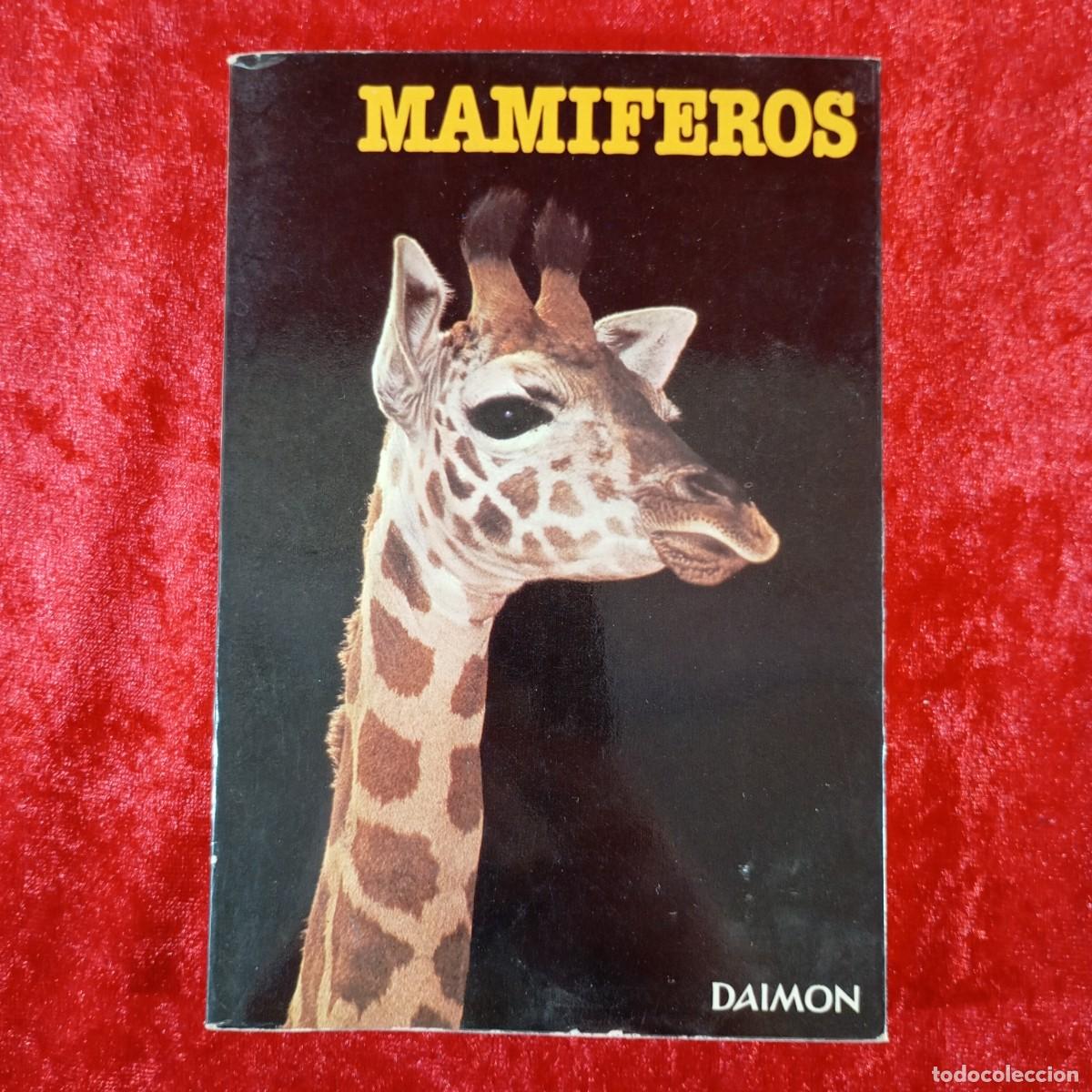 Libros de segunda mano: MAMIFEROS - DR. MAURICE BURTON - EDICIONES DAIMON - 1978 / 2771 - Foto 1