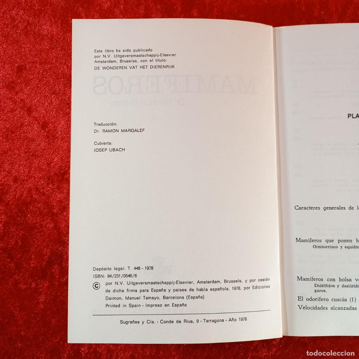 Libros de segunda mano: MAMIFEROS - DR. MAURICE BURTON - EDICIONES DAIMON - 1978 / 2771 - Foto 4