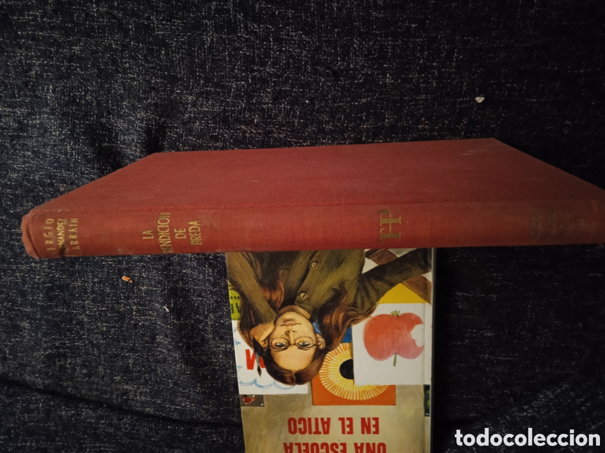 Libros de segunda mano: LA RENDICION DE BREDA / SERGIO FERNANDEZ LARRAIN -ED. EDITORA NACIONAL - Foto 1