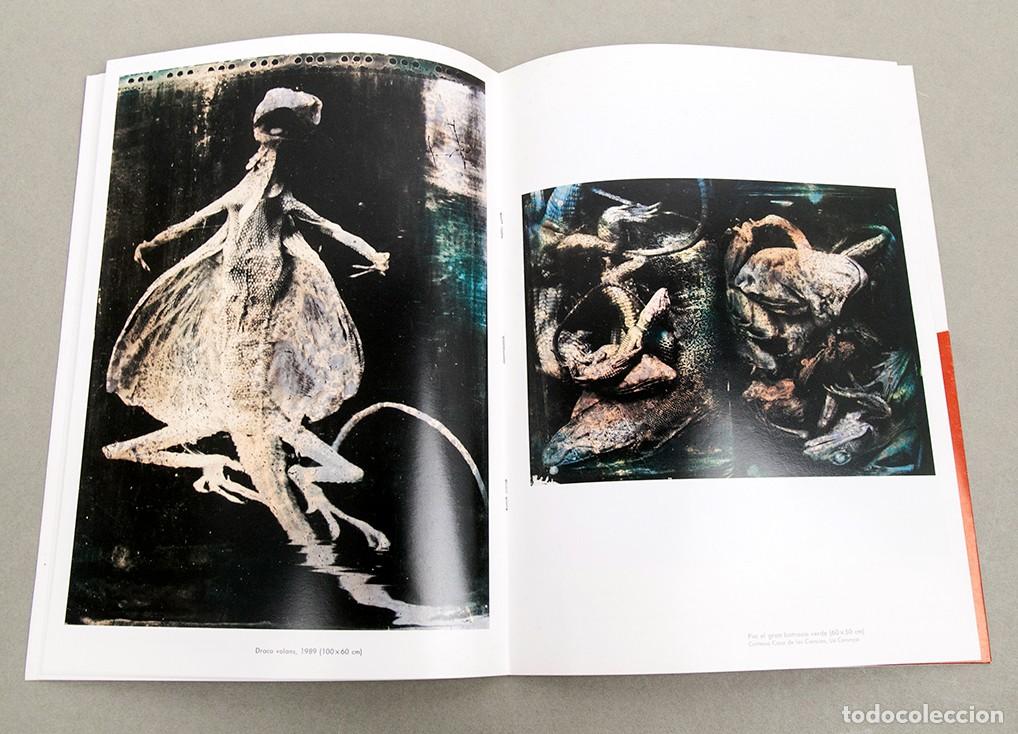 Libros de segunda mano: JOAN FONTCUBERTA - EL JARD&Iacute; DE LES DEL&Iacute;CIES + DISCO - 1990 - Foto 6