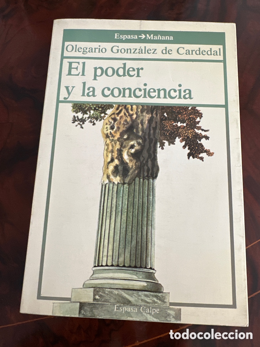 Libros de segunda mano: EL PODER Y LA CONCIENCIA / OLEGARIO GONZALEZ DE CARDENAL / ESPASA - Foto 12