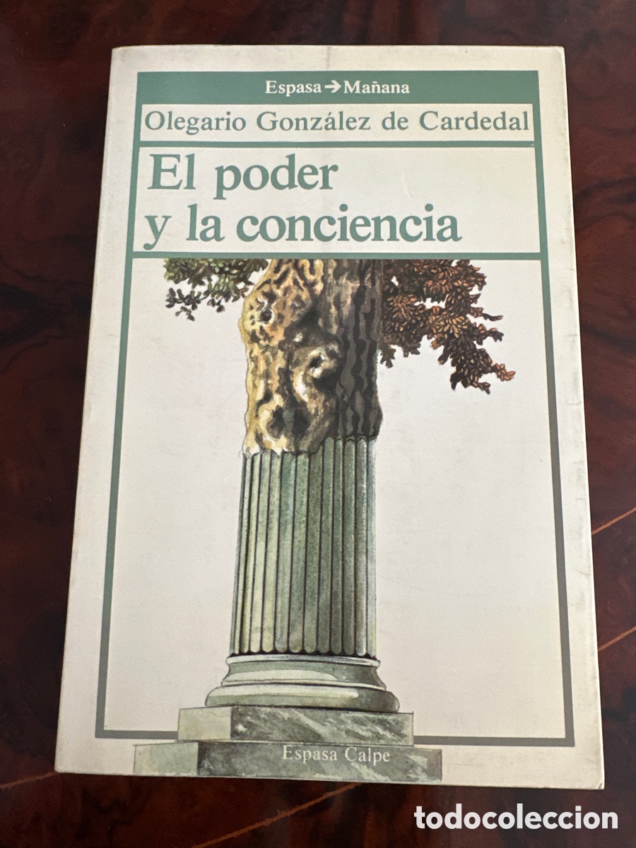 Libros de segunda mano: EL PODER Y LA CONCIENCIA / OLEGARIO GONZALEZ DE CARDENAL / ESPASA - Foto 1