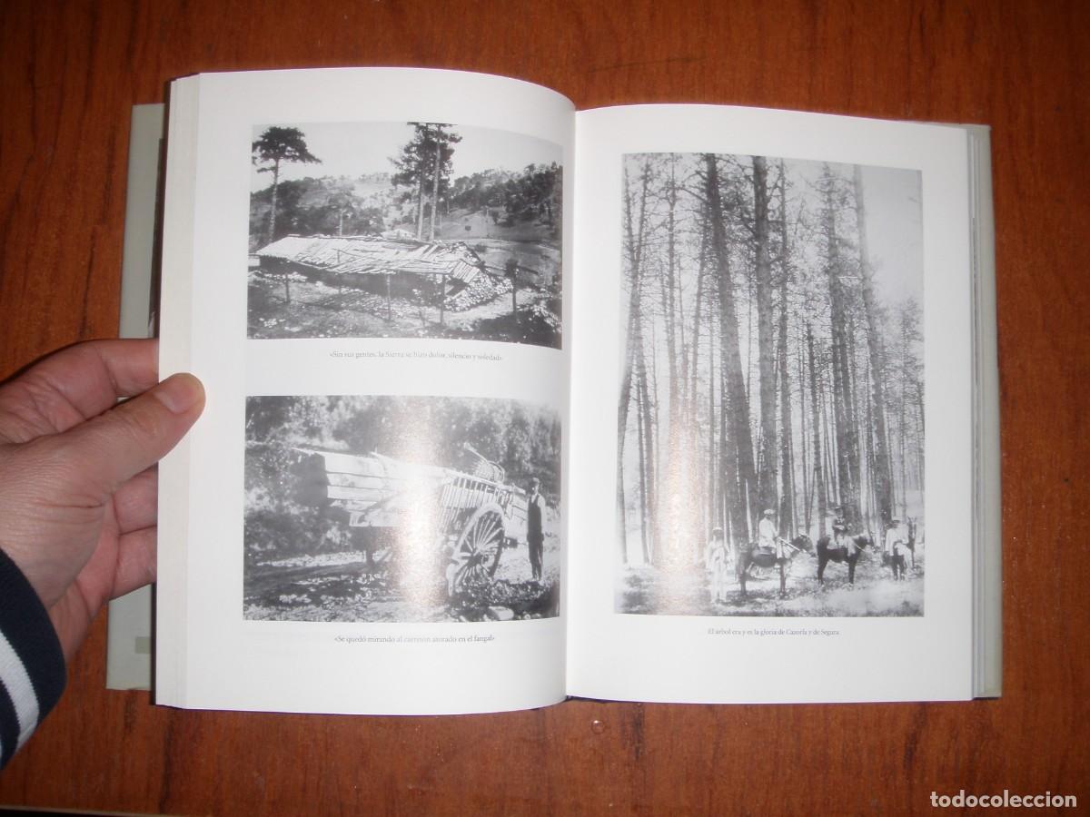 Libros de segunda mano: LA SIERRA CALIENTE JOS&Eacute; CUENCA - Foto 5