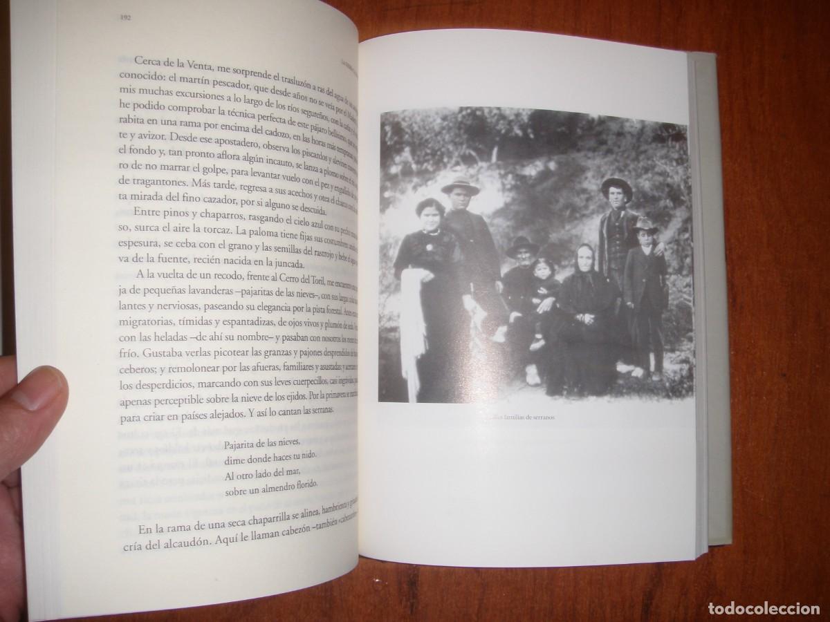 Libros de segunda mano: LA SIERRA CALIENTE JOS&Eacute; CUENCA - Foto 9