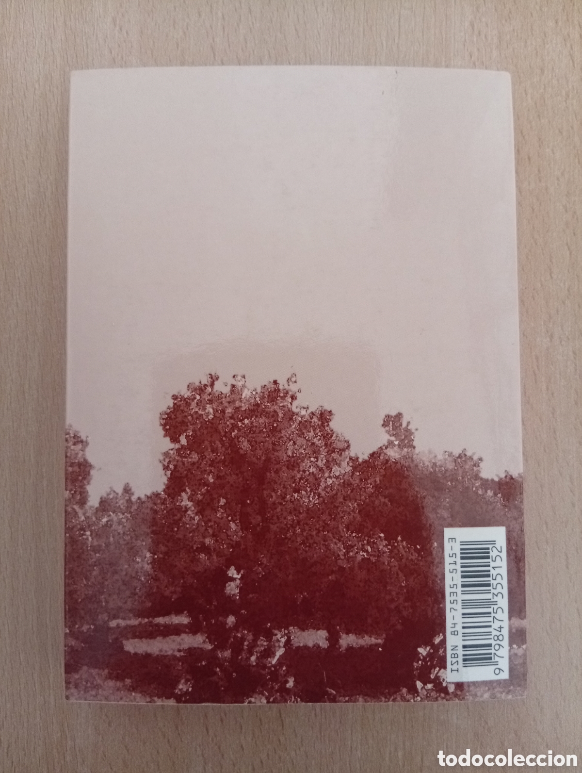 Libros de segunda mano: LILLA DE LA CALMA. Santiago Rusi&ntilde;ol - Foto 2