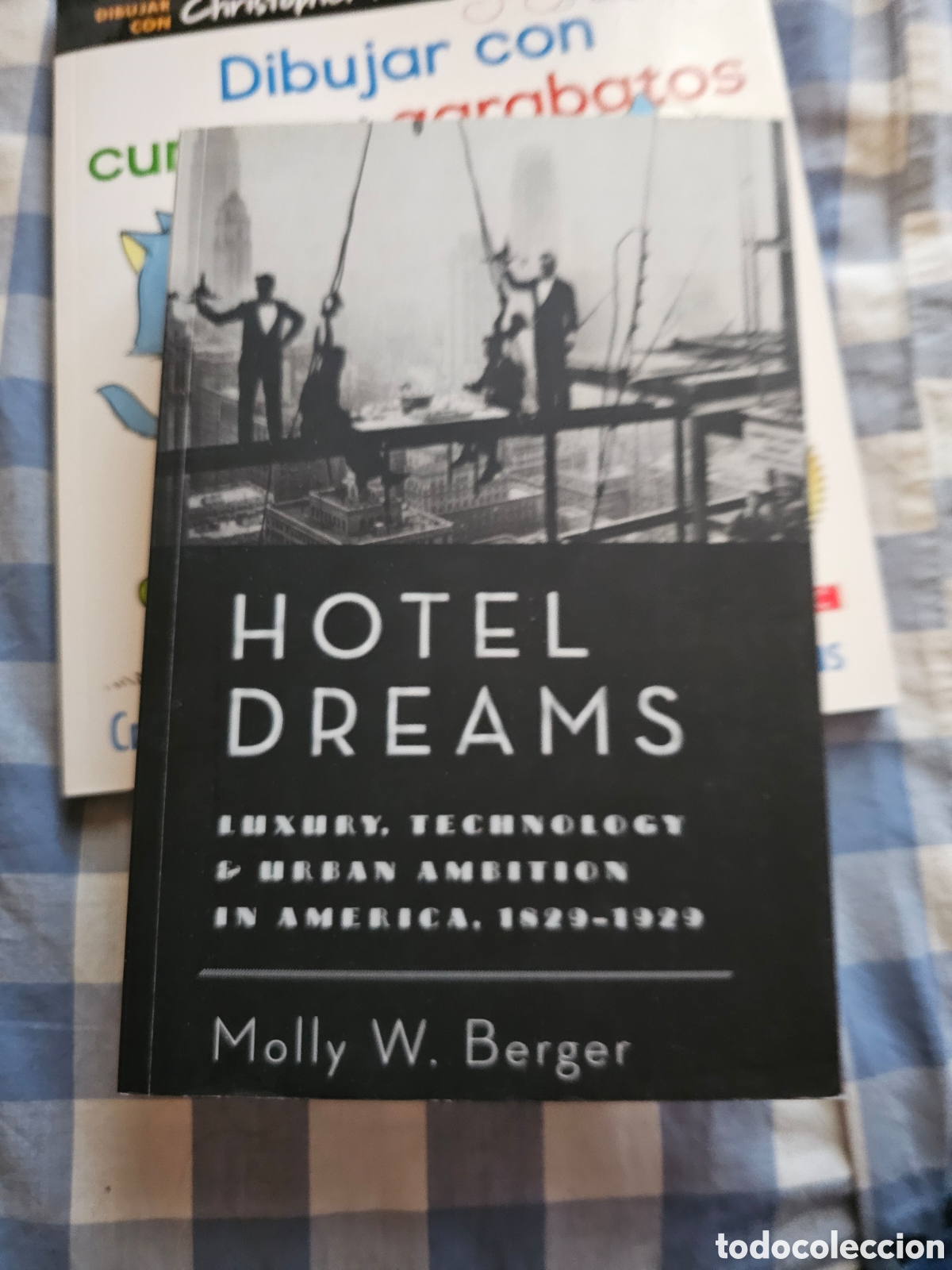 Second hand books: Hotel Dreams:Luxury, tecnolog&iacute;a and Urban Ambici&oacute;n in Am&eacute;rica, 1829-1929