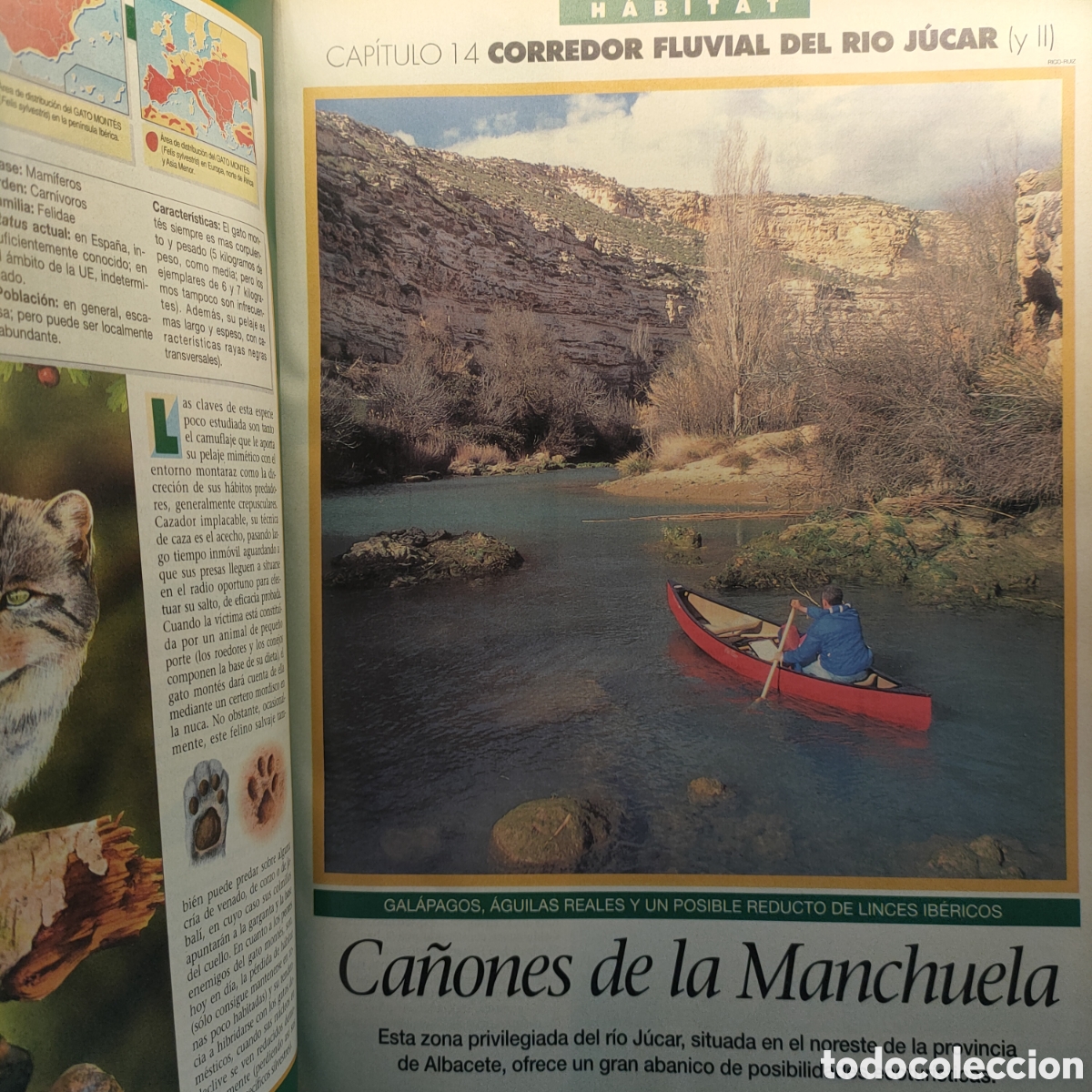 Libros de segunda mano: Ecoguia de LOS ESPACIOS NATURALES DE ESPA&Ntilde;A. Edit. Habitat. - Foto 3