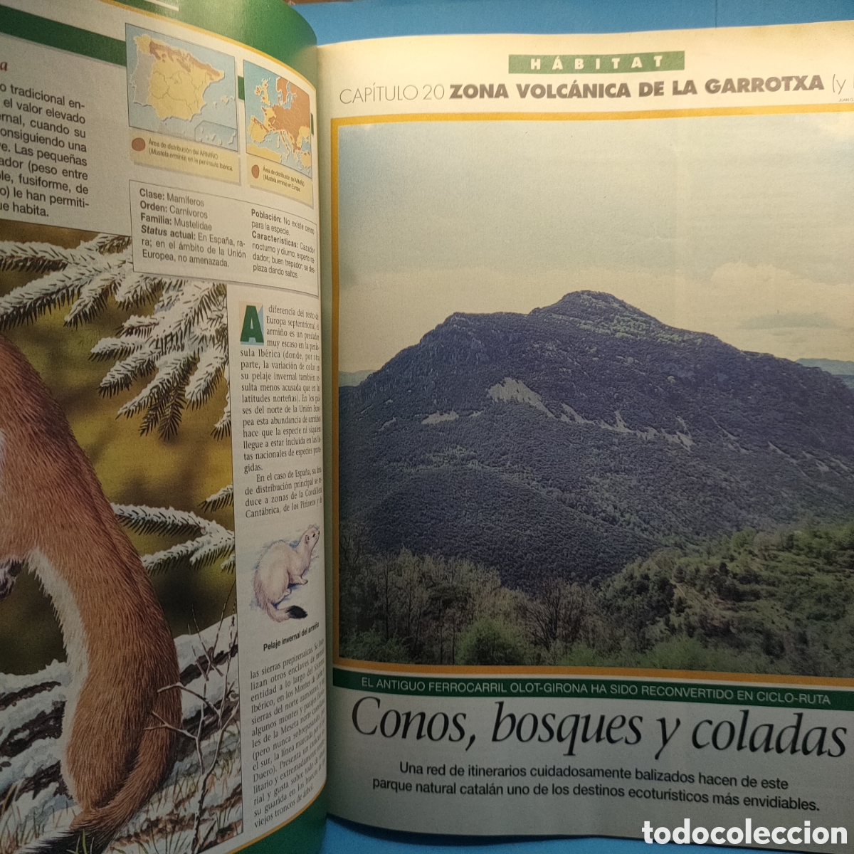 Libros de segunda mano: Ecoguia de LOS ESPACIOS NATURALES DE ESPA&Ntilde;A. Edit. Habitat. - Foto 4