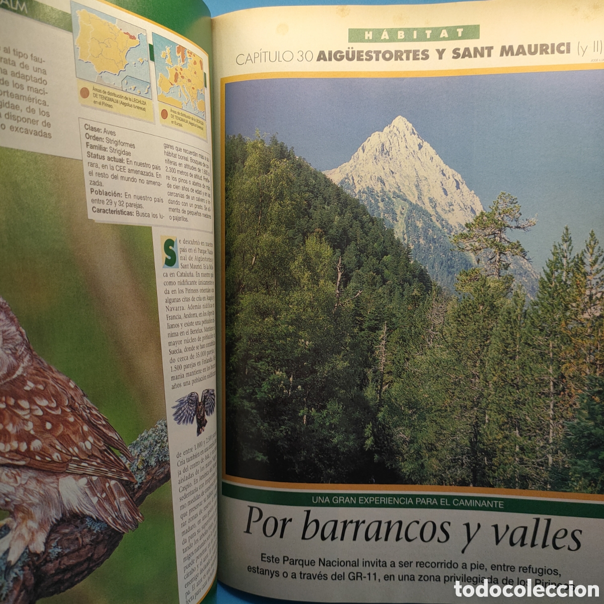 Libros de segunda mano: Ecoguia de LOS ESPACIOS NATURALES DE ESPA&Ntilde;A. Edit. Habitat. - Foto 5