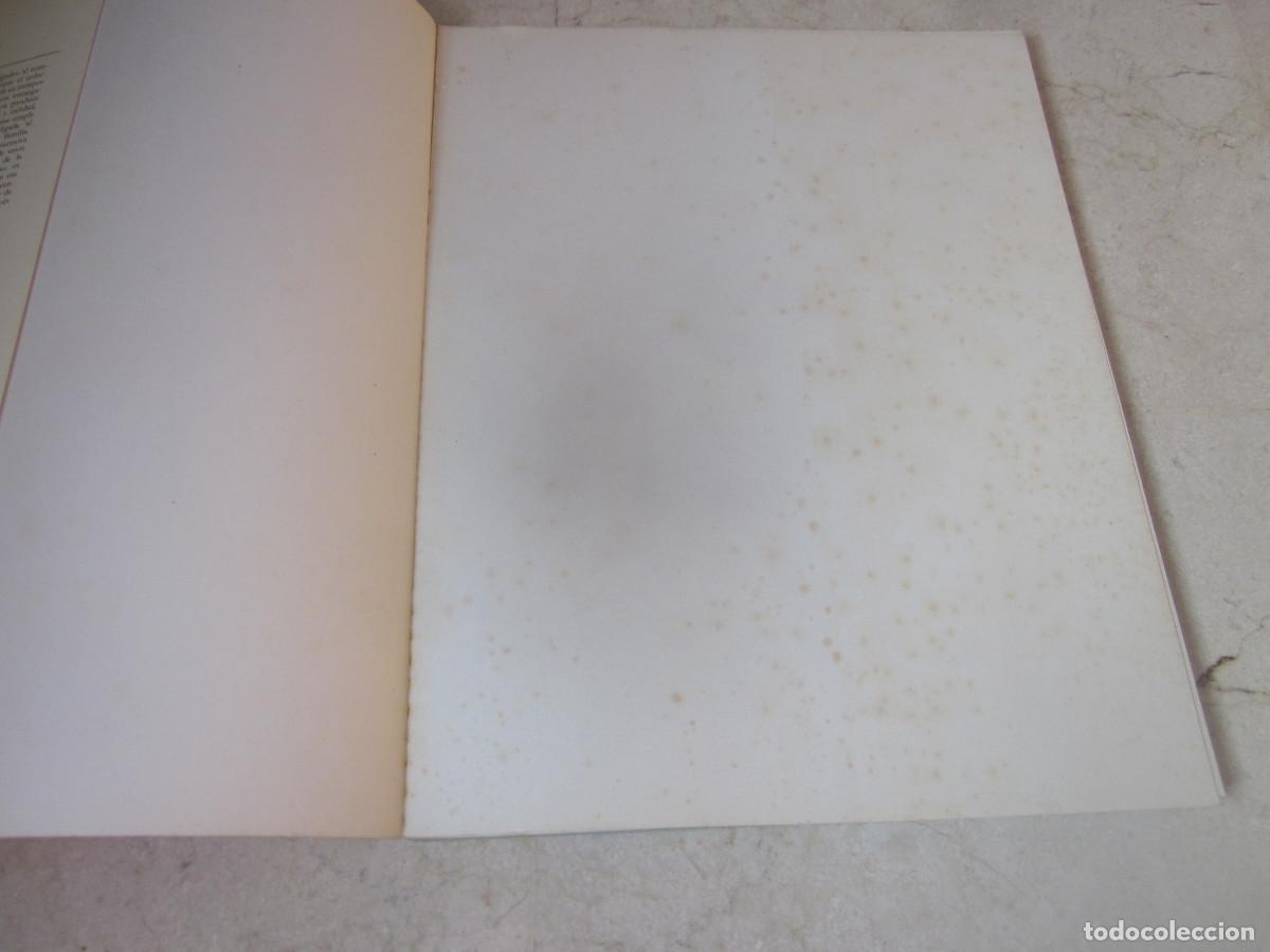 Libros de segunda mano: EL MUNDO DE LOS MUSEOS - GALERIA BORGHESE - CODEX 1967 - Foto 3