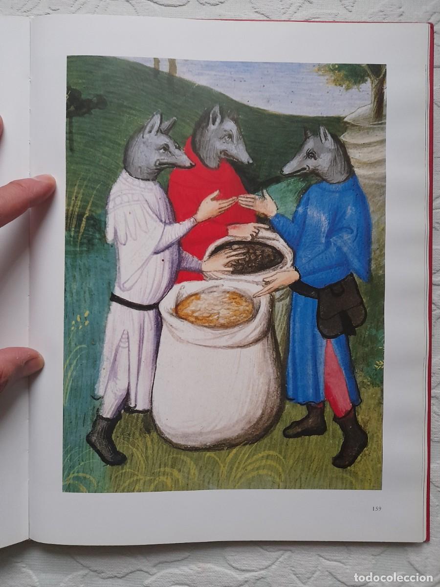 Libros de segunda mano: Libro de las Maravillas de Marco Polo ( Ms. fr. 2810 ) - Foto 8