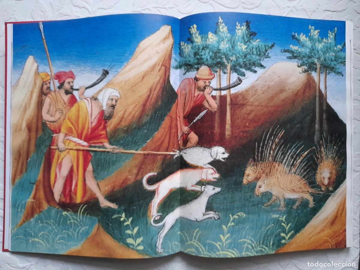 Libros de segunda mano: Libro de las Maravillas de Marco Polo ( Ms. fr. 2810 ) - Foto 11