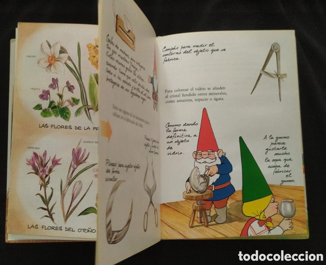 Libros de segunda mano: EL LIBRO SECRETO DE LOS GNOMOS. TOMO 7 - Foto 3