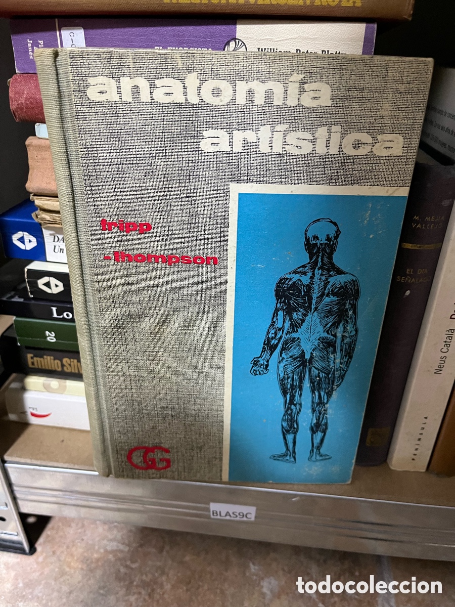Libros de segunda mano: Blas9C Anatom&iacute;a art&iacute;stica Fripp Thompson - Foto 1