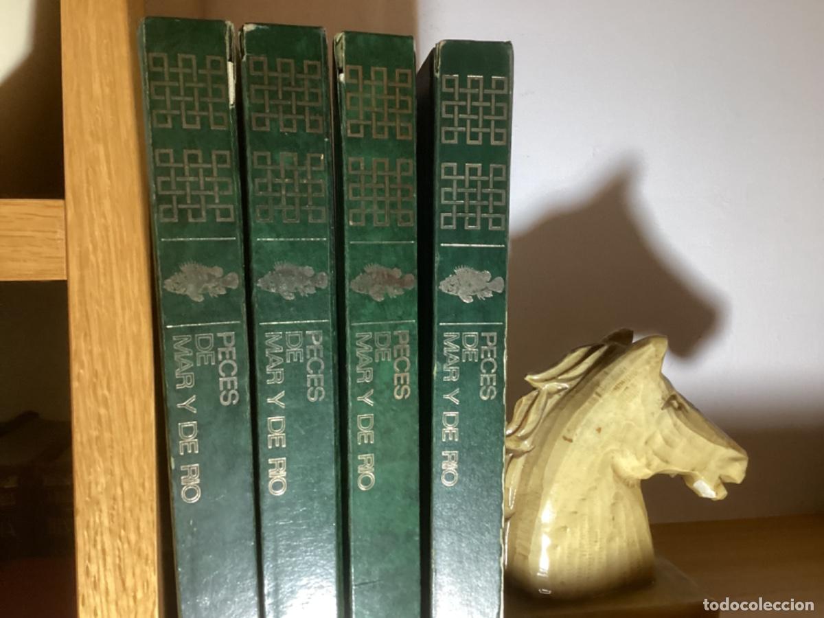 Libros de segunda mano: Peces de mar y de r&iacute;o. 4 tomos completa , ed asuri, - Foto 2