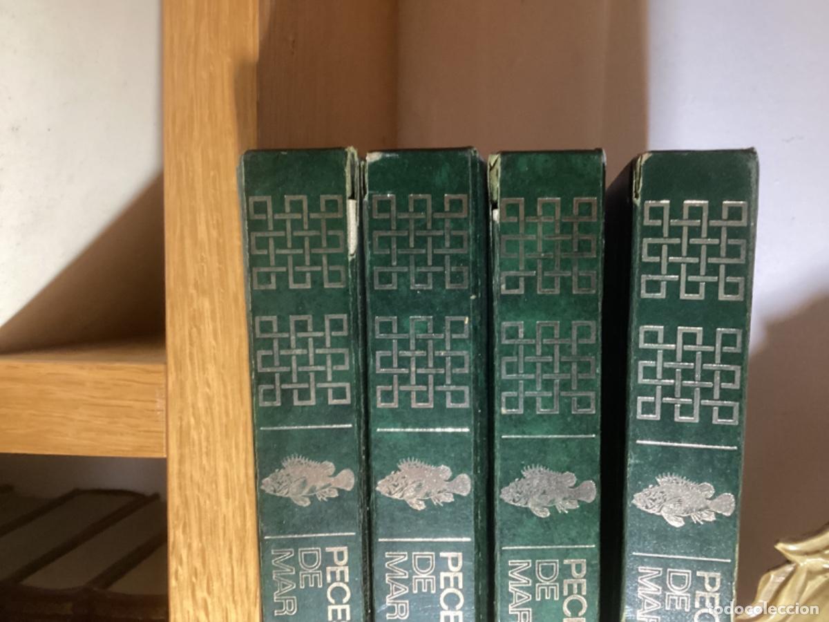 Libros de segunda mano: Peces de mar y de r&iacute;o. 4 tomos completa , ed asuri, - Foto 3