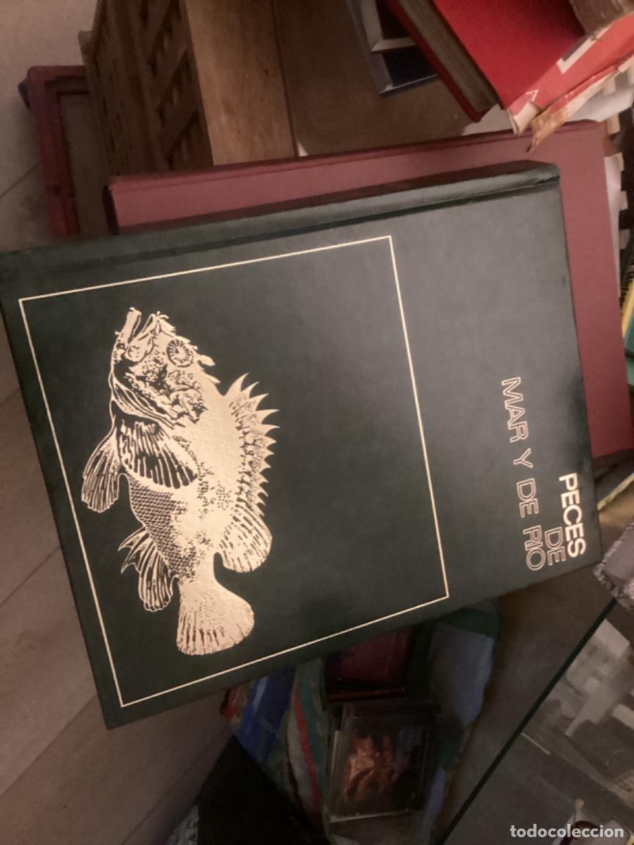 Libros de segunda mano: Peces de mar y de r&iacute;o. 4 tomos completa , ed asuri, - Foto 7