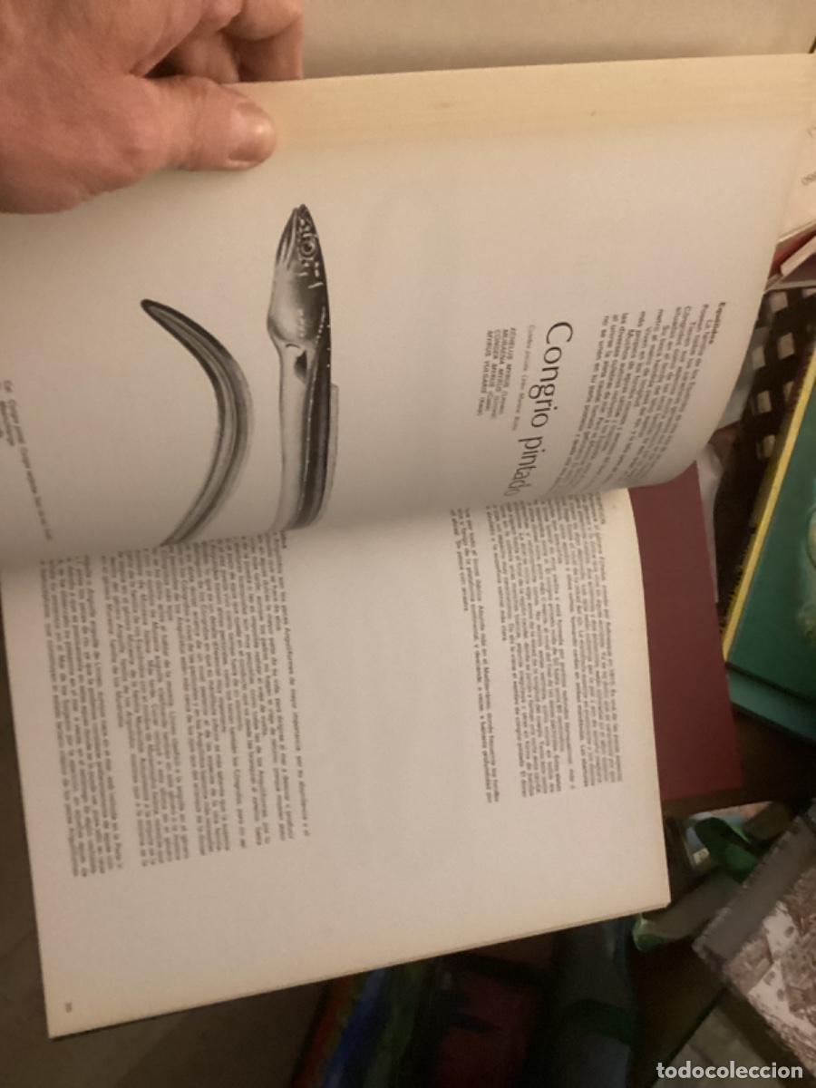 Libros de segunda mano: Peces de mar y de r&iacute;o. 4 tomos completa , ed asuri, - Foto 11