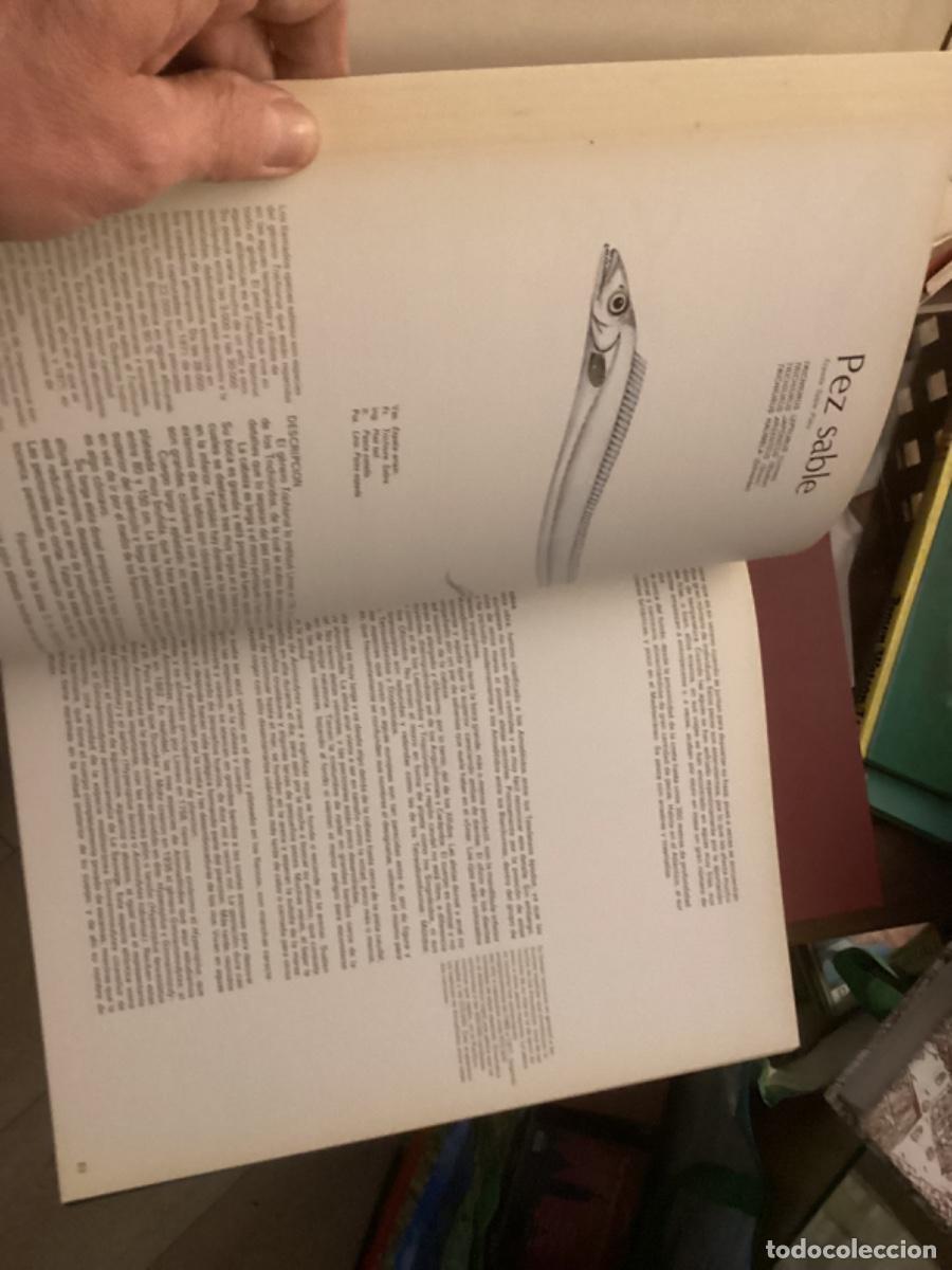 Libros de segunda mano: Peces de mar y de r&iacute;o. 4 tomos completa , ed asuri, - Foto 12