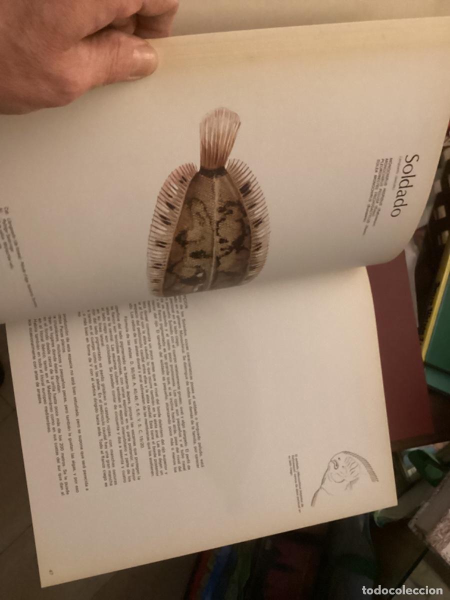 Libros de segunda mano: Peces de mar y de r&iacute;o. 4 tomos completa , ed asuri, - Foto 15