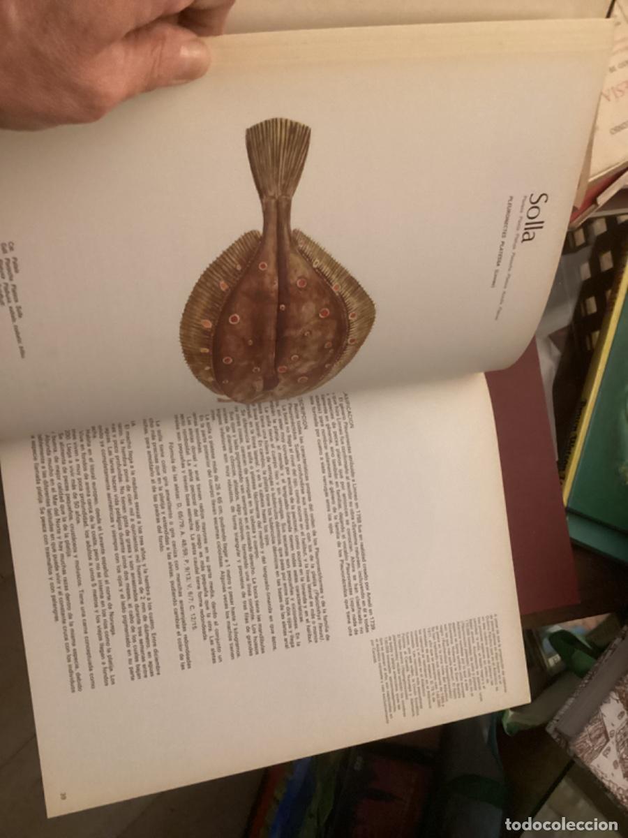 Libros de segunda mano: Peces de mar y de r&iacute;o. 4 tomos completa , ed asuri, - Foto 16