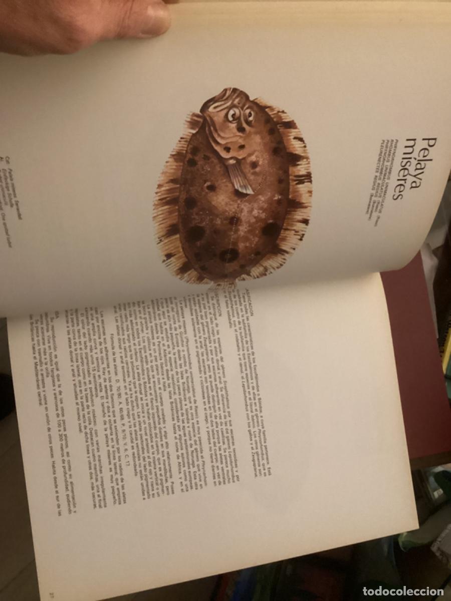 Libros de segunda mano: Peces de mar y de r&iacute;o. 4 tomos completa , ed asuri, - Foto 17