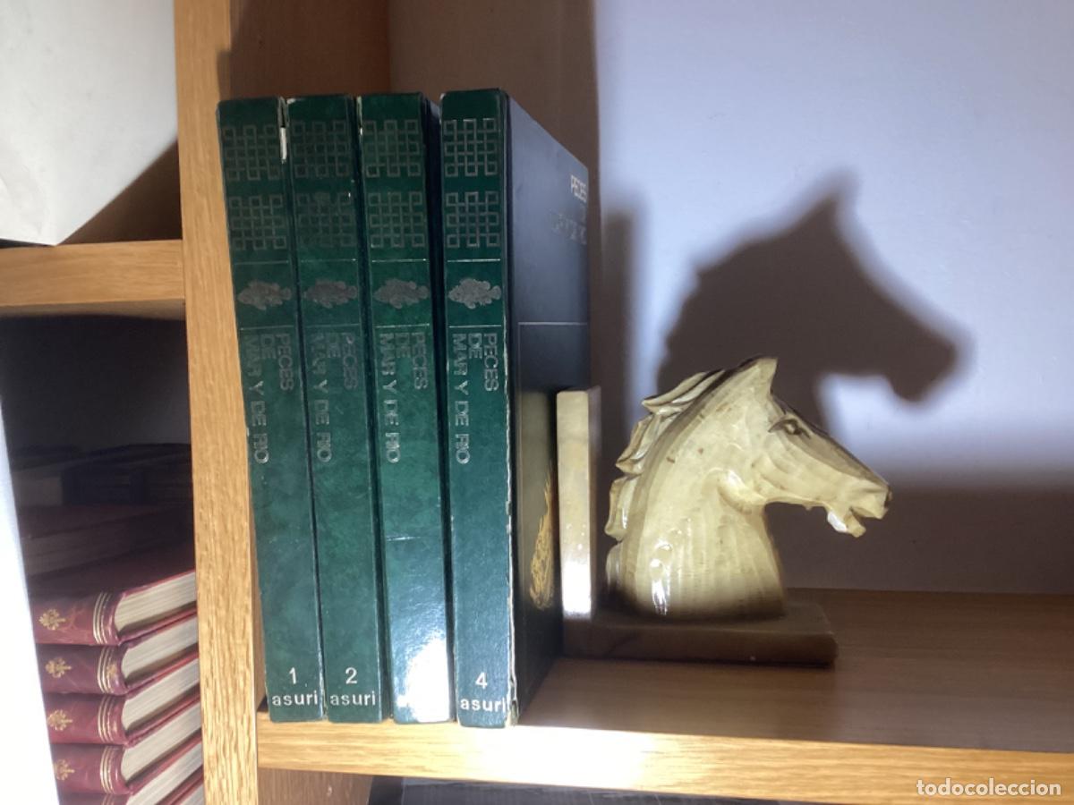 Libros de segunda mano: Peces de mar y de r&iacute;o. 4 tomos completa , ed asuri, - Foto 1