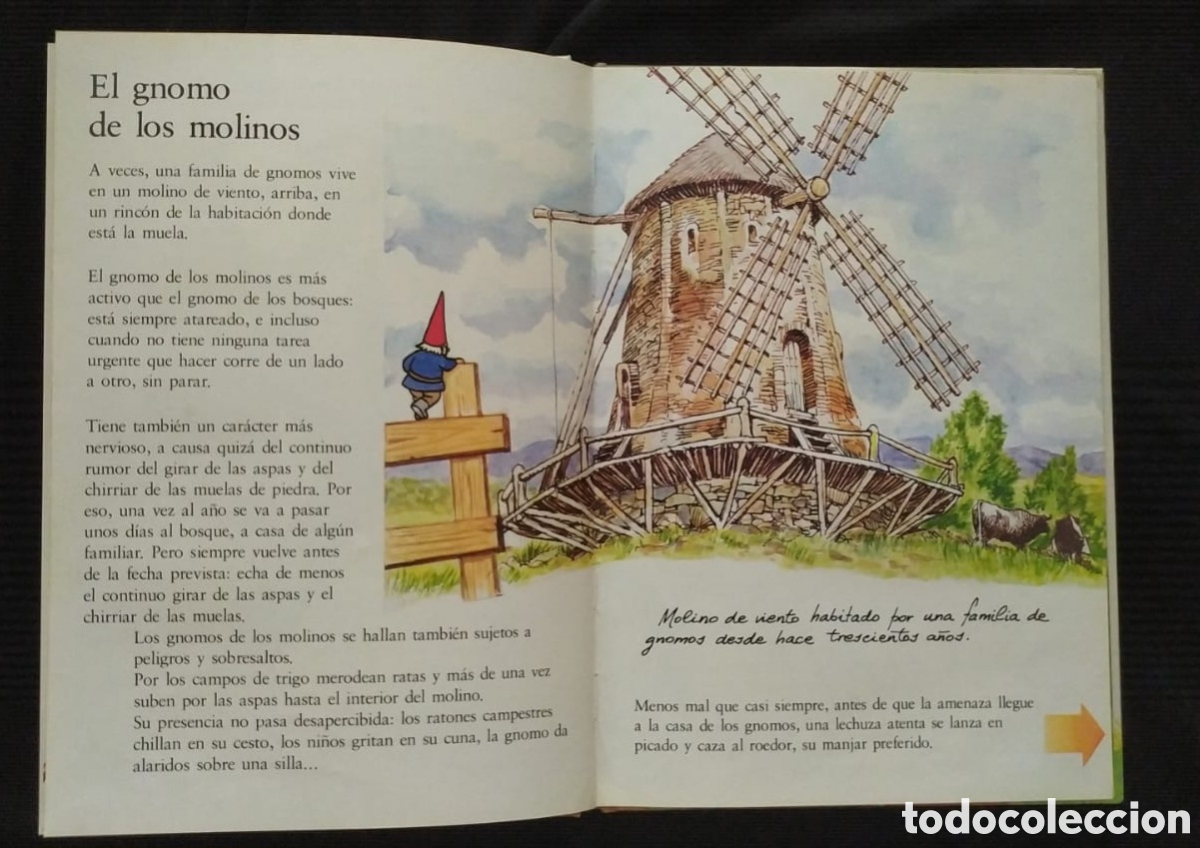 Libros de segunda mano: EL LIBRO SECRETO DE LOS GNOMOS. TOMO 8 - Foto 3