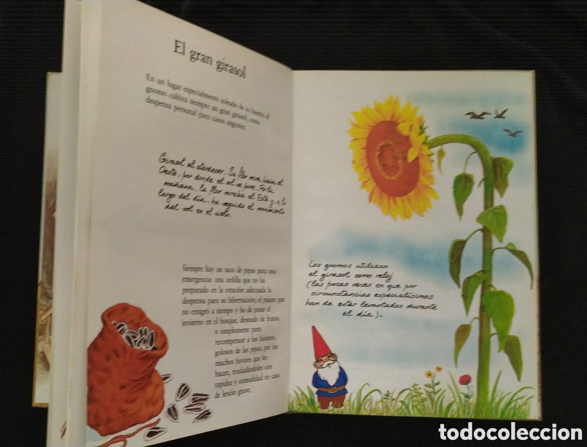 Libros de segunda mano: EL LIBRO SECRETO DE LOS GNOMOS. TOMO 5 - Foto 3