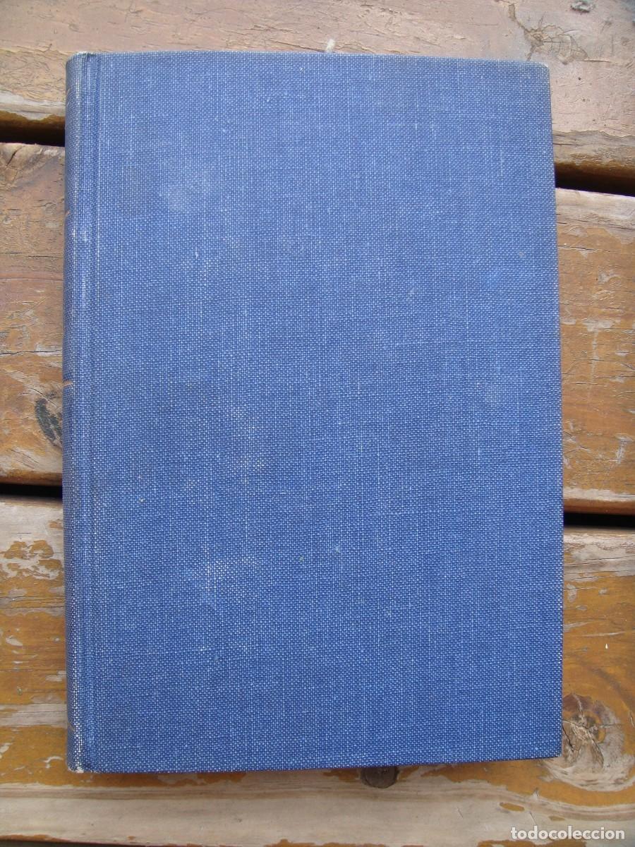 Libros de segunda mano: Camilo Jos&eacute; Cela: LA COLMENA. Primera edicion - Foto 1