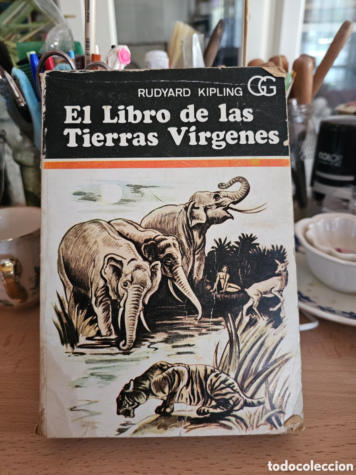 Libros de segunda mano: El libro de las tierras virgenes - Foto 1