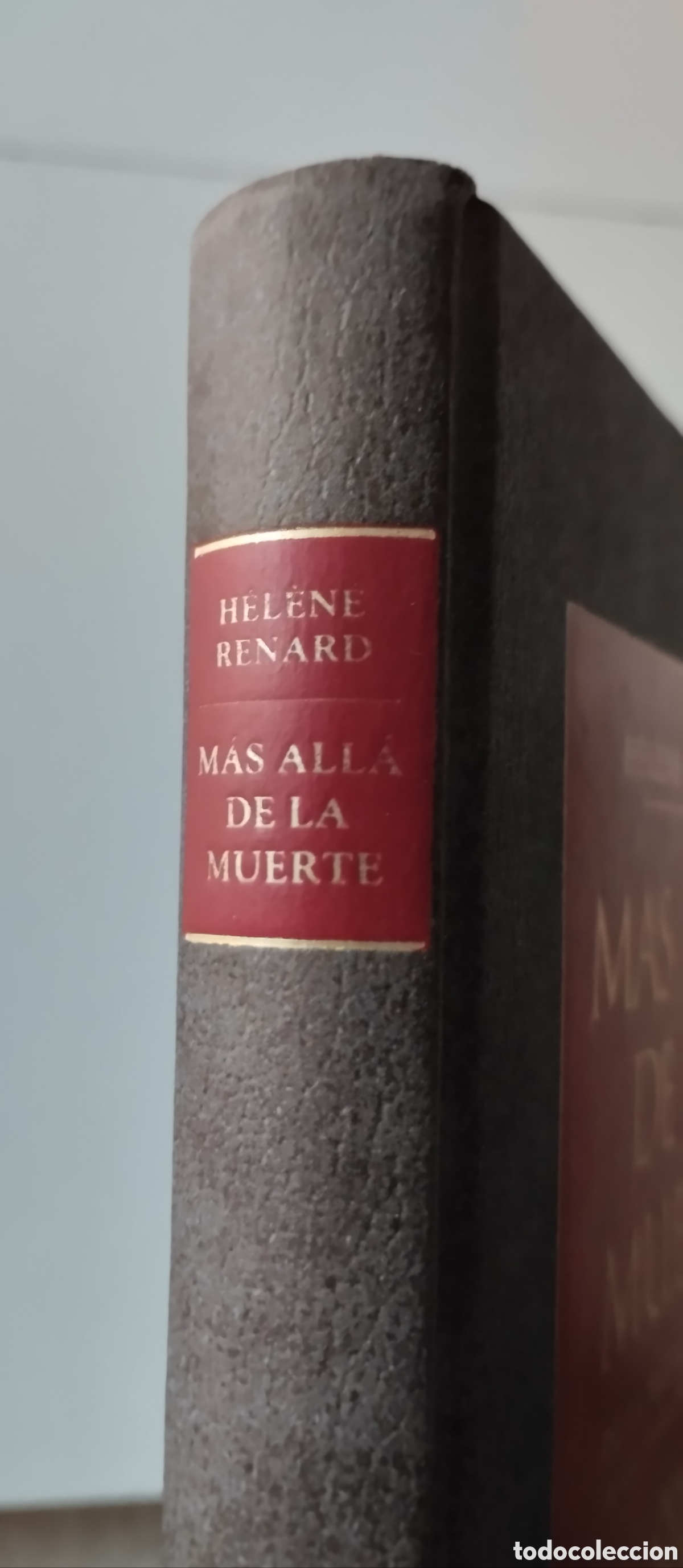 Libros de segunda mano: M&Aacute;S ALL&Aacute; DE LA MUERTE H&eacute;l&egrave;ne Renard - Foto 3