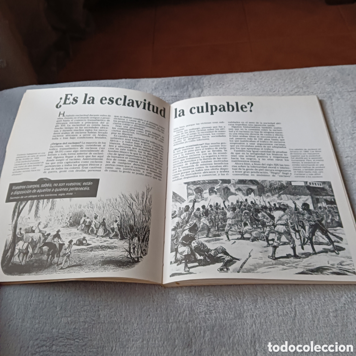 Libros de segunda mano: La discriminaci&oacute;n racial - Foto 4