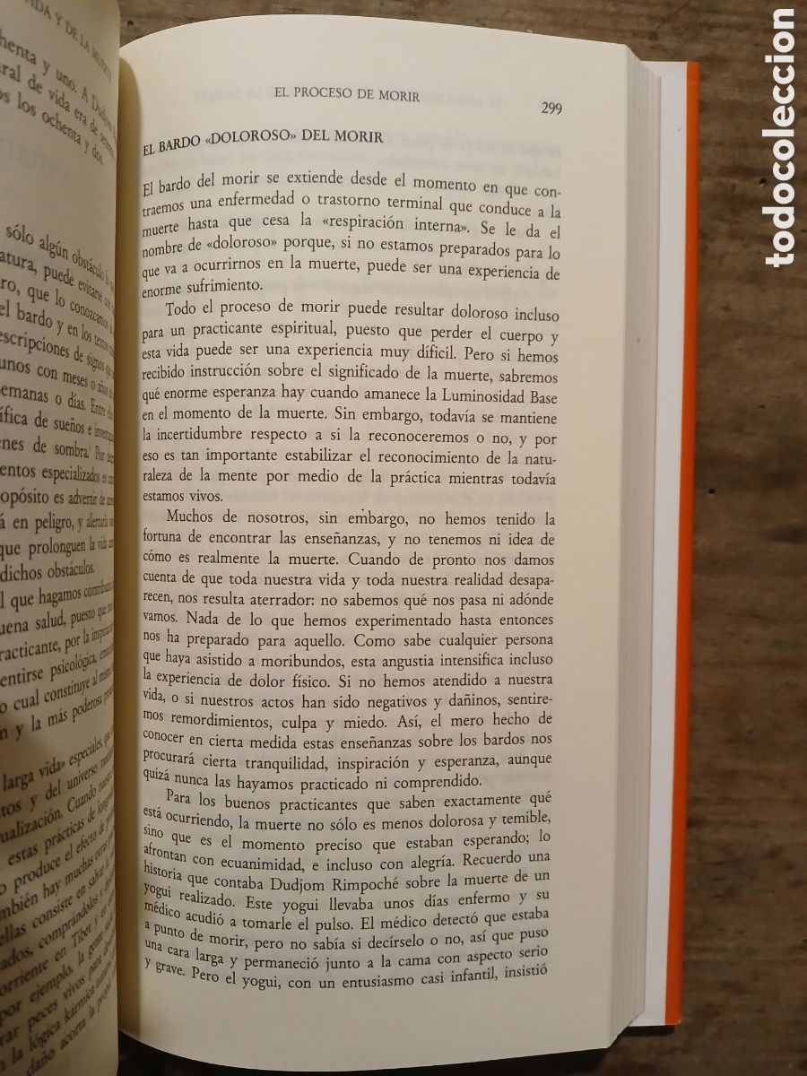 Libros de segunda mano: El libro tibetano de la vida y la muerte. Sogyal Rimpoch&eacute;. - Foto 10