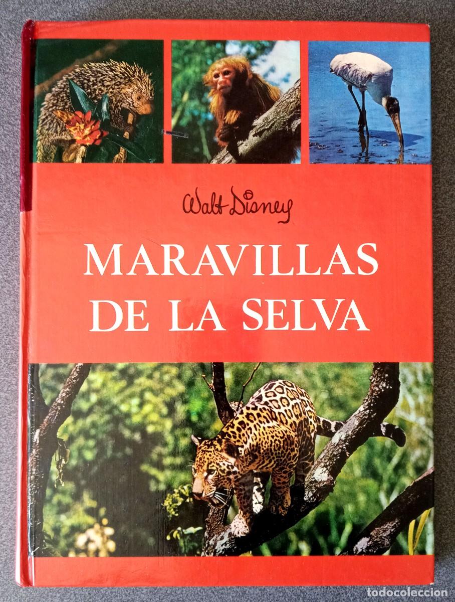 Libros de segunda mano: Maravillas De La Selva Walt Disney - Foto 1