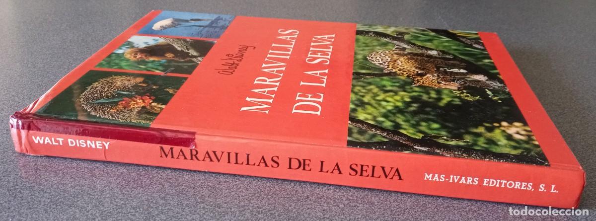 Libros de segunda mano: Maravillas De La Selva Walt Disney - Foto 2