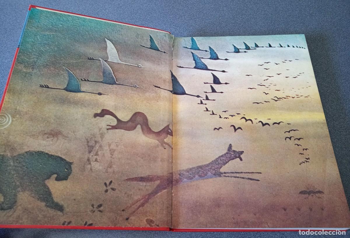 Libros de segunda mano: Maravillas De La Selva Walt Disney - Foto 3