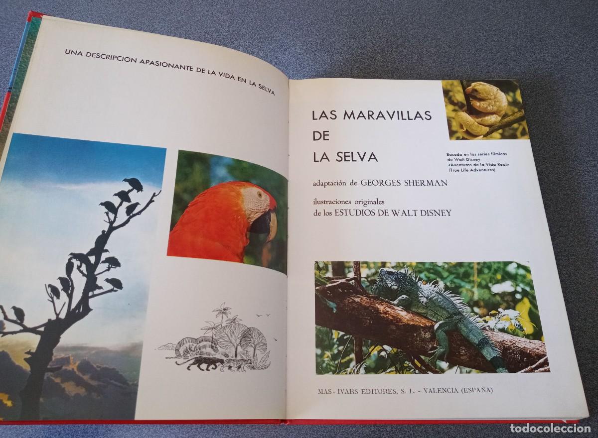 Libros de segunda mano: Maravillas De La Selva Walt Disney - Foto 5
