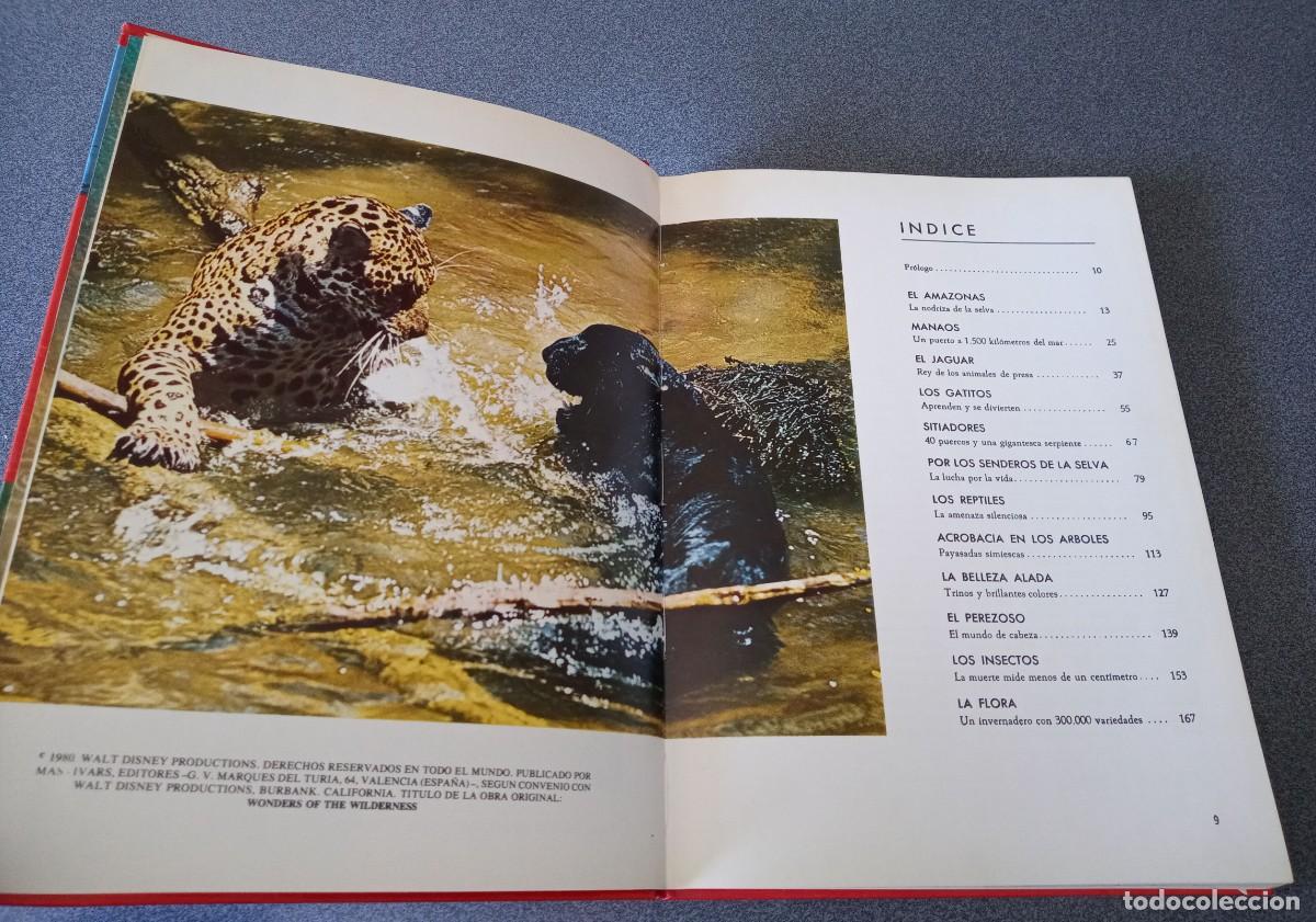 Libros de segunda mano: Maravillas De La Selva Walt Disney - Foto 6