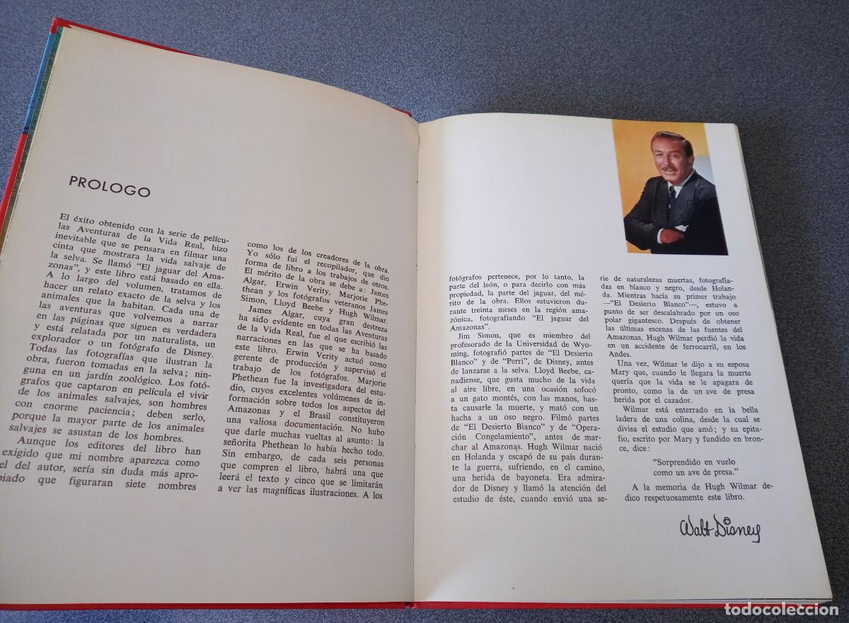 Libros de segunda mano: Maravillas De La Selva Walt Disney - Foto 7