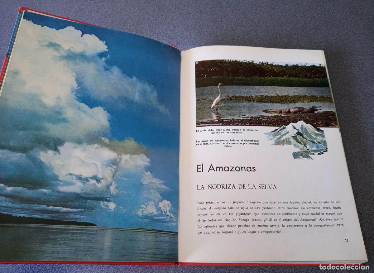 Libros de segunda mano: Maravillas De La Selva Walt Disney - Foto 8