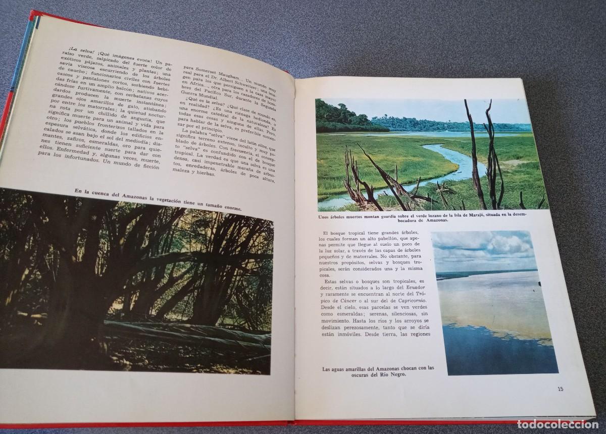 Libros de segunda mano: Maravillas De La Selva Walt Disney - Foto 9