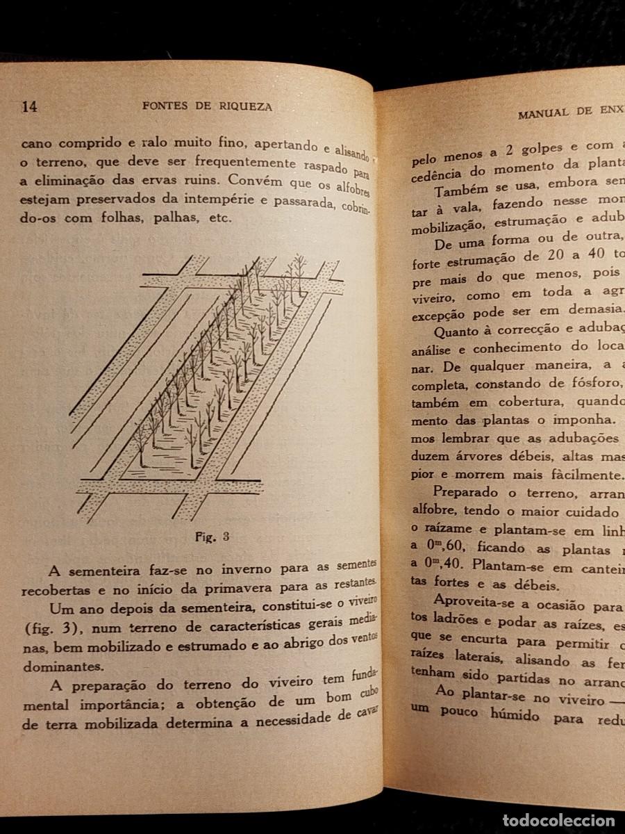 Libros de segunda mano: 1957. Manual de enxertia. Coelho Marques. - Foto 7