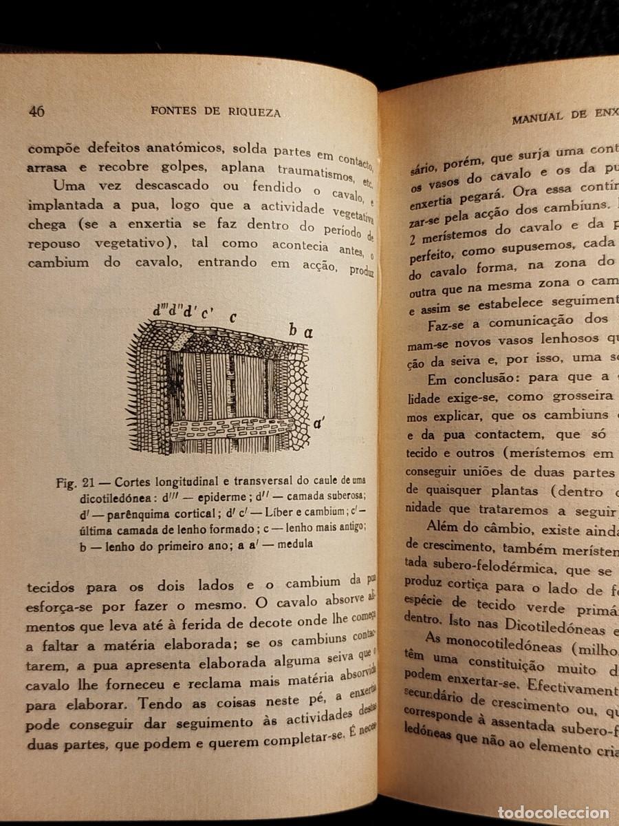 Libros de segunda mano: 1957. Manual de enxertia. Coelho Marques. - Foto 8