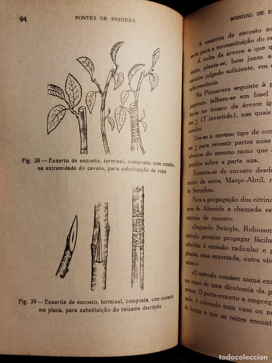 Libros de segunda mano: 1957. Manual de enxertia. Coelho Marques. - Foto 10