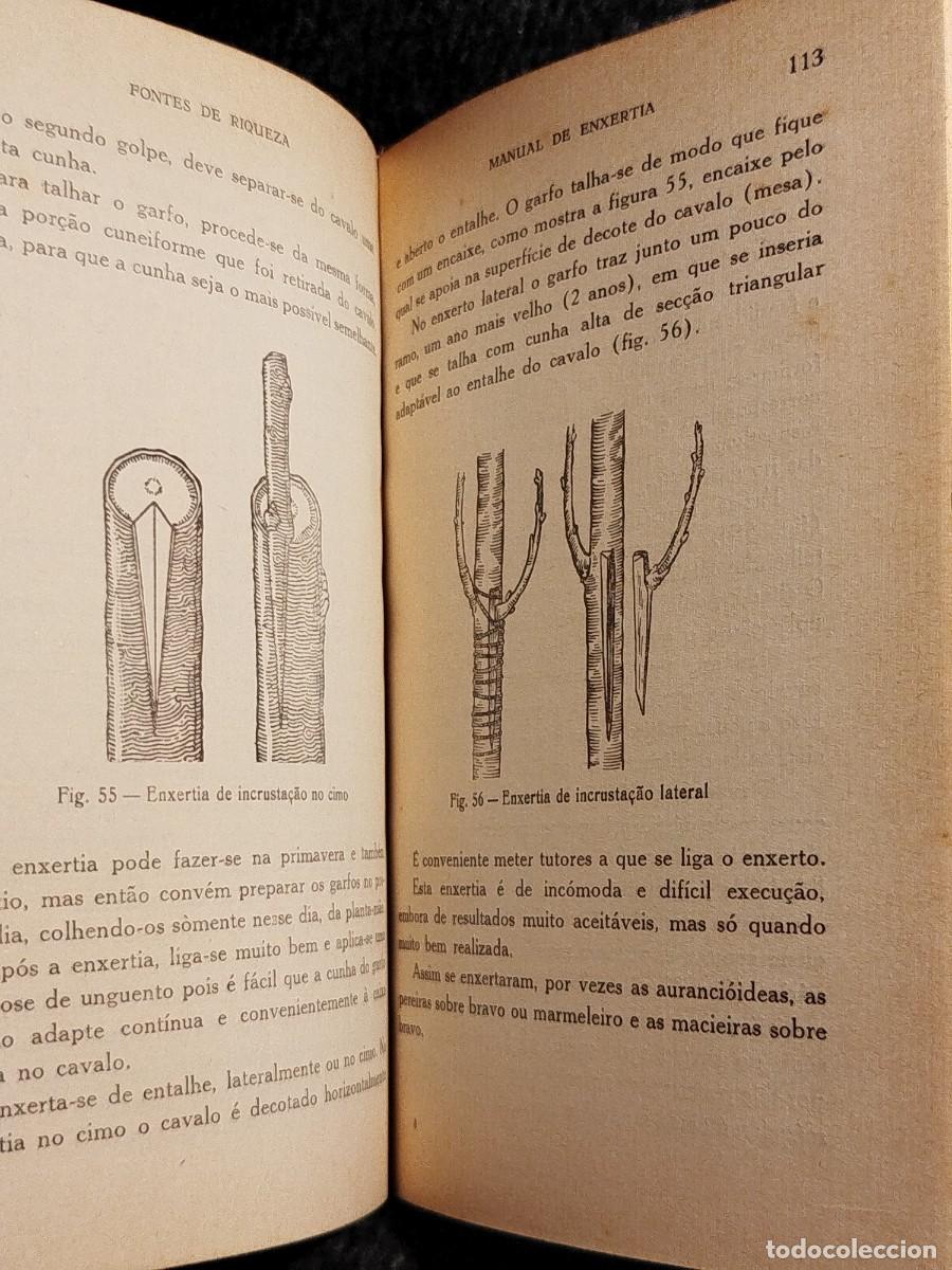 Libros de segunda mano: 1957. Manual de enxertia. Coelho Marques. - Foto 11