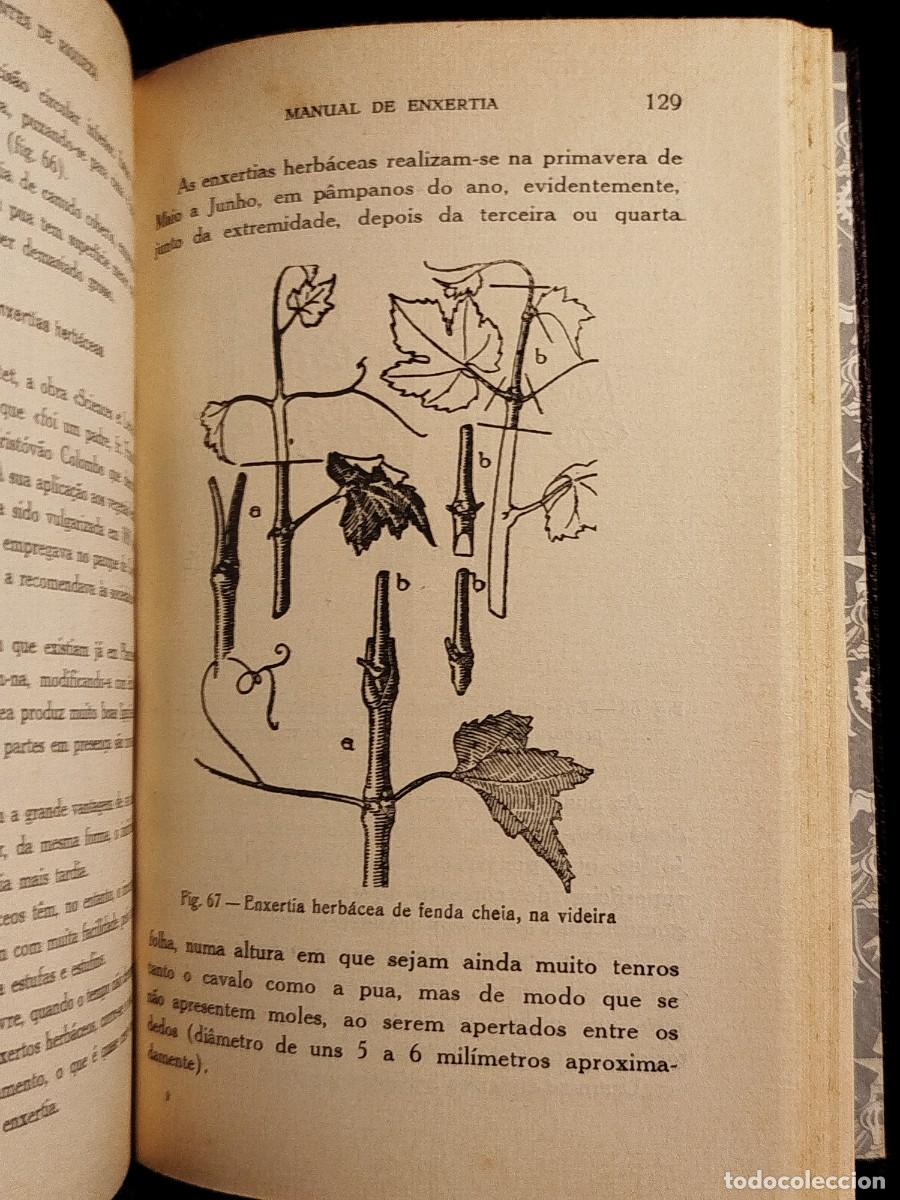 Libros de segunda mano: 1957. Manual de enxertia. Coelho Marques. - Foto 12