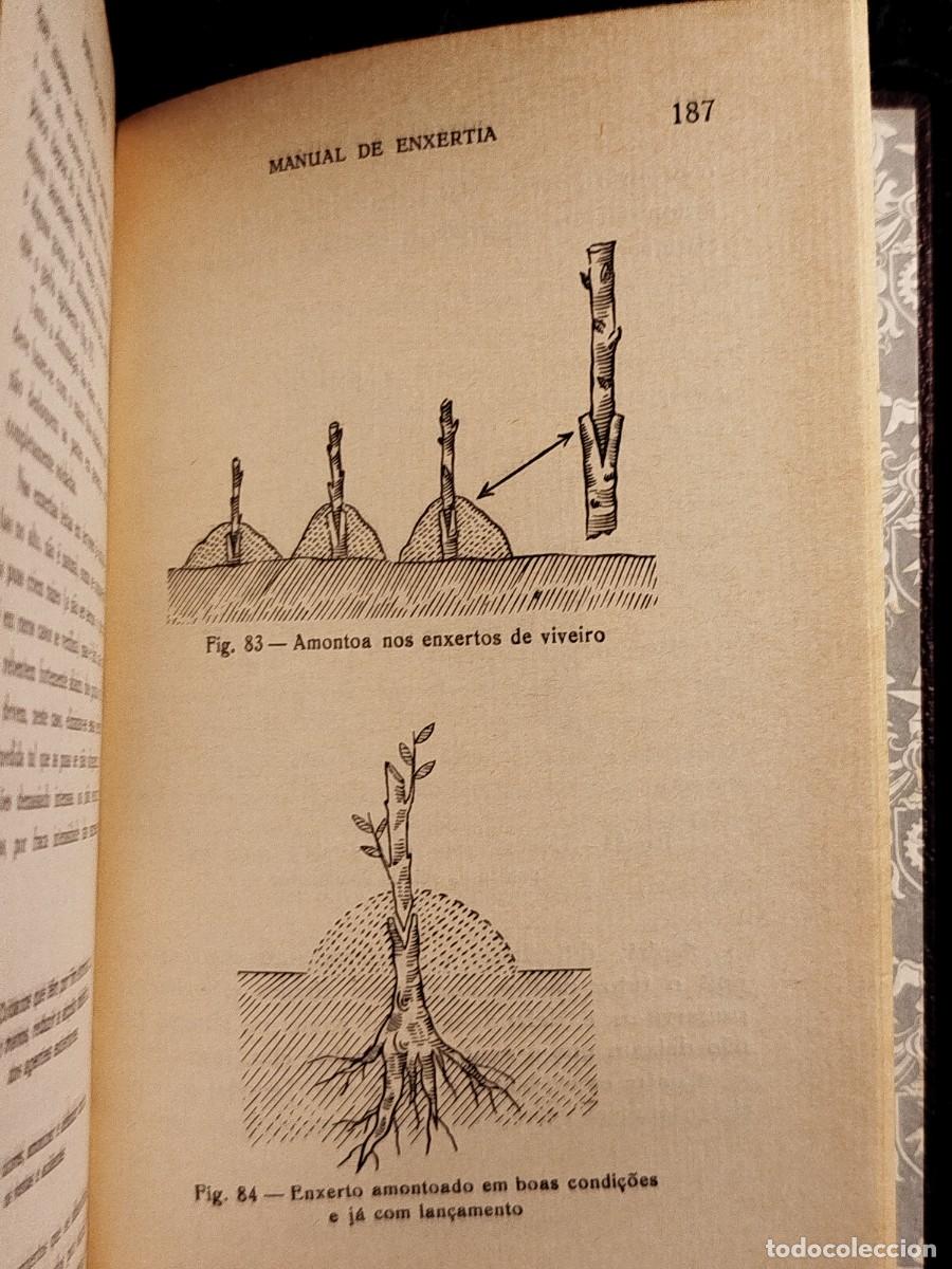 Libros de segunda mano: 1957. Manual de enxertia. Coelho Marques. - Foto 14