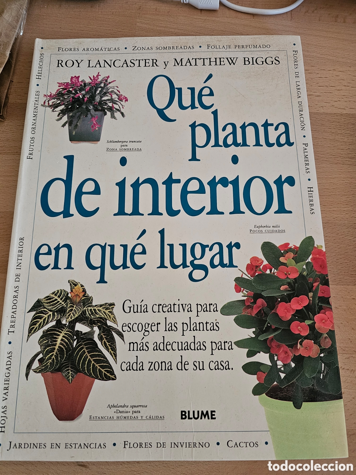 Libros de segunda mano: Que planta de interior en que lugar, ed Blume - Foto 1