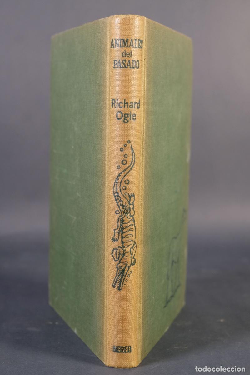 Libros de segunda mano: Animales del pasado - Richard Ogle - Ed.Nereo, 1963 - Foto 3